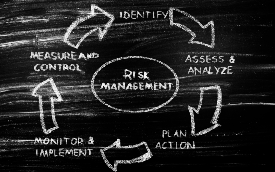 risk management infographic